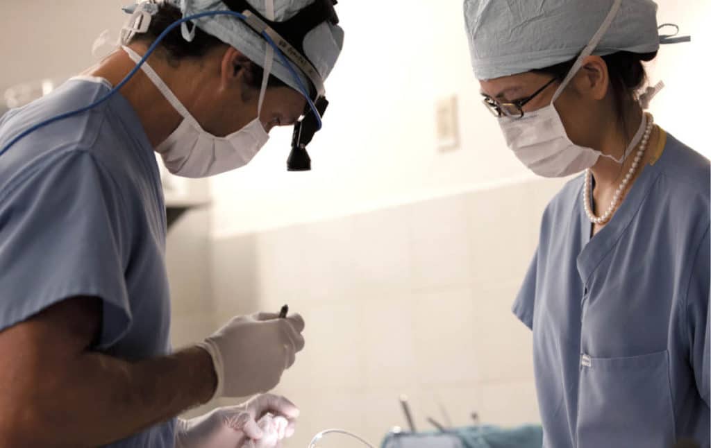 Dr. Frankel and a nurse performing an aesthetic neck surgery.